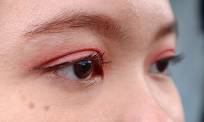 Obraz premium Beautiful Asian woman eyes with simple makeup. attractive pretty woman lady with good vision sight eyesight with long eyelashes natural makeup, ophthalmology