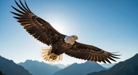 Fototapeta premium Bald eagle soars gracefully above the majestic mountain range under clear sky