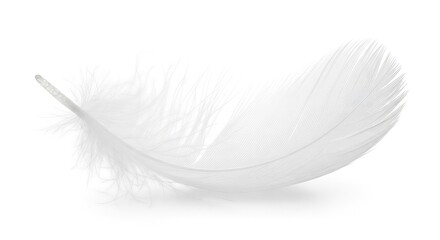 Obraz premium Delicate white feather floating serenely, a symbol of purity and lightness perfect for spiritual concepts and elegant designs, conveying peace and tranquility