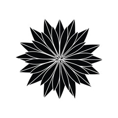Black starburst mandala graphic