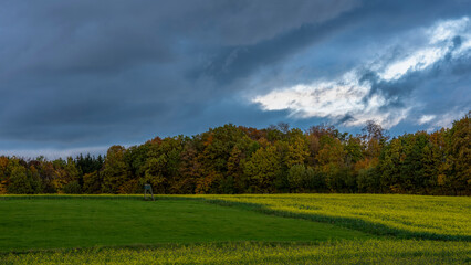 herbstliche Landschaft mit bewölktem Himmel