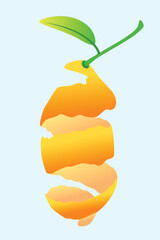 orange peel with stem and leaves vector graphic design. orange peel with stem and leaves vector illustration