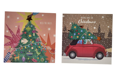Festive Christmas Cards: Illustrated Holiday Greetings © Ash Editor