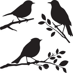 Set of black birds silhouettes on the branches sitting 