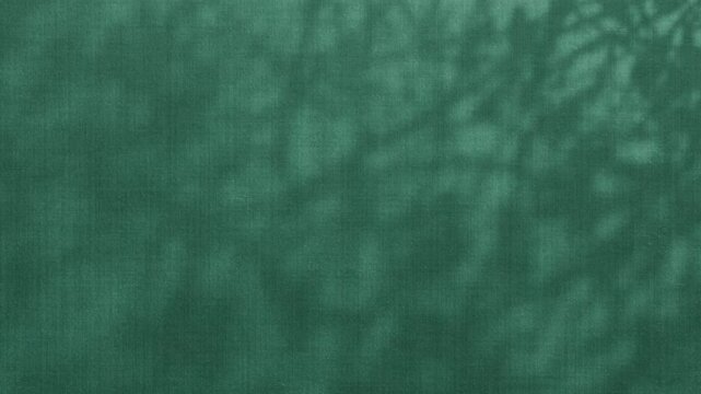 Soft Moving Shadows on Green Textured Wall Background