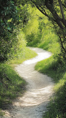 Obraz premium Winding dirt path through vibrant green foliage in natural parkland. A beautiful, serene journey into nature's embrace.