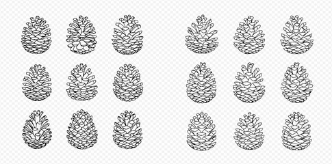 Hand drawn black and white line art illustrations of pine cones set.