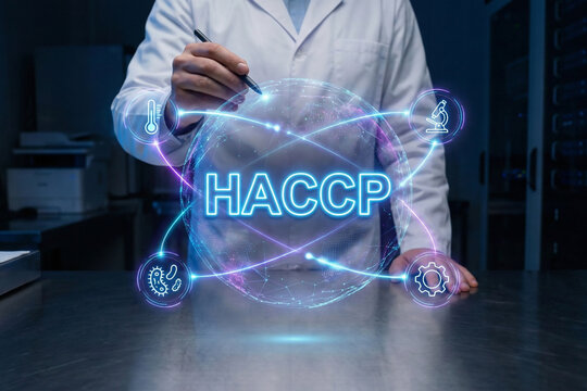 Researcher using stylus pen to interact with futuristic holographic HACCP sphere interface with orbiting safety icons in high tech science laboratory