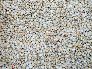 Close Up of Heap Pinto Bean. Background, texture.