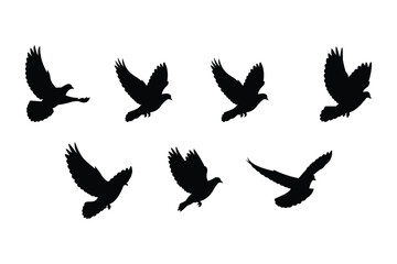 Silhouette set of seven flying dove bird motion sequence
