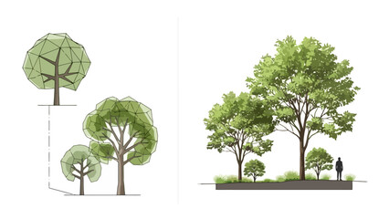 Tree Planting and Landscape Illustration A Guide to Urban Greening and Tree Grouping
