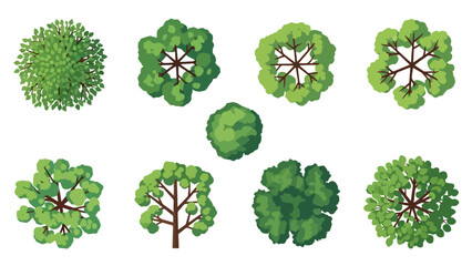 Overhead View Tree Collection Various Tree Top Designs for Architectural Illustrations