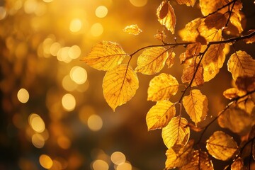 A serene autumn scene with golden leaves gently falling from a tree, creating a warm and inviting atmosphere.