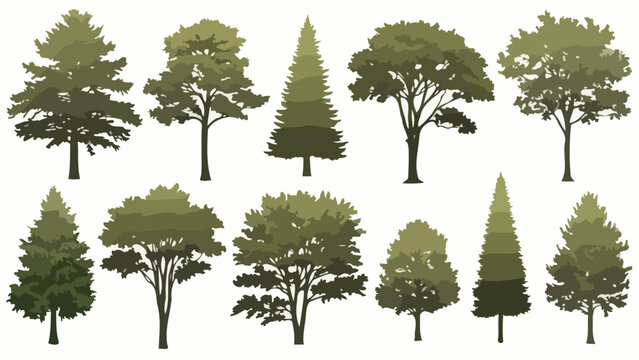 Variety of Trees Illustration Collection Nature, Forest, and Arbor Day