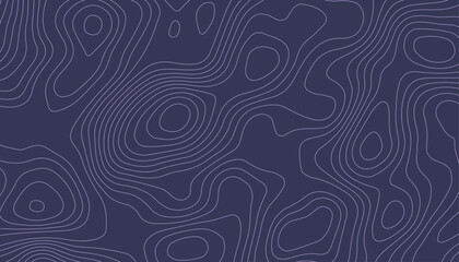 Minimal Topographic Line Pattern Background