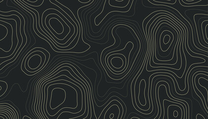 Topographic Contour Line Pattern Background