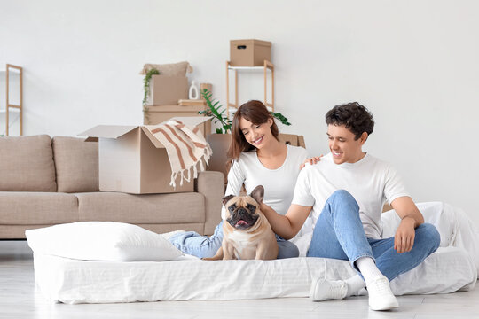 Young couple with French bulldog sitting in rented apartment on moving day - Powered by Adobe