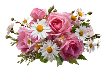 Bouquet of pink roses white daisies and greenery isolated.
