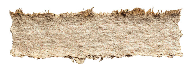 Torn strip of rough textured carton paper, isolated on transparent cutout background