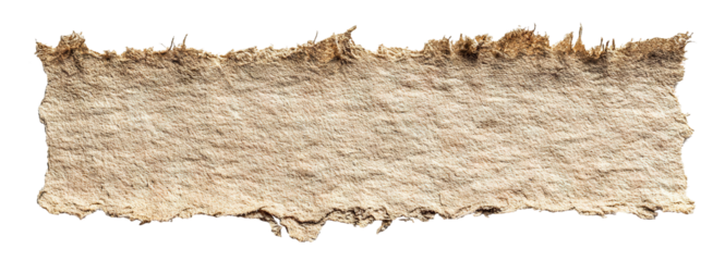 Torn strip of rough textured carton paper, isolated on transparent cutout background