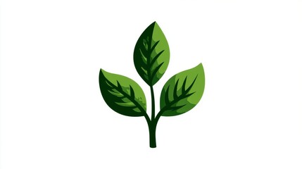 Fototapeta premium Stylized Green Plant with Three Veined Leaves on White Background, Minimalist Botanical Illustration Symbolizing Growth and Sustainability