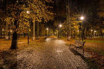 Naklejka premium Paved pathway illuminated by streetlights in autumn park at dusk, surrounded by trees with colorful fallen leaves. Serene evening outdoor scene for calm mood.