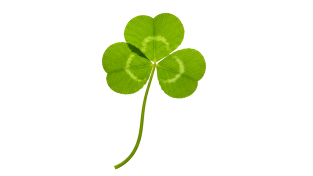 Three leaf clover shamrock symbol of luck isolated on transparent background - Powered by Adobe