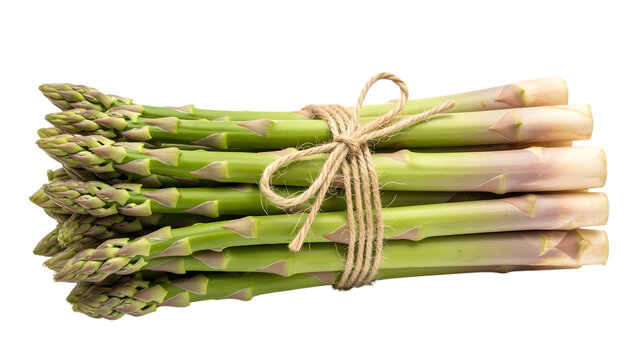 Fresh asparagus spears tied with twine healthy green vegetable isolated on transparent background