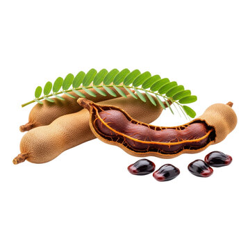Tamarind fruit pod open showing pulp and seed isolated on transparent background