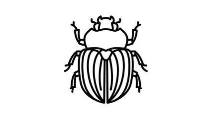 vector illustration of beetle