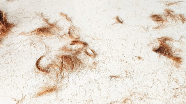 Texture Whispers: A close-up view of scattered red hair strands on a light surface, showcasing various lengths and textures.