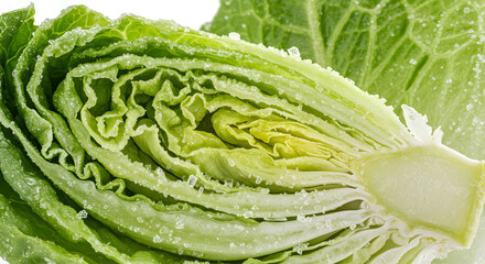 Detailed Macro Shot of Freshly Cut Lettuce with Crystalline Structures