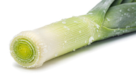 Fresh Leek Covered in Ice Crystals, Showing Concentric Rings on a White Background