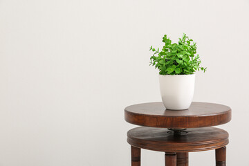 Artificial plant on table near light wall