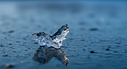 Delicate Ice Fragment Reflecting on Wet Surface with Soft Blue Tones