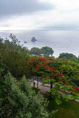 Naklejka premium green Madeira Island