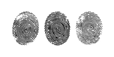 Fingerprint identification and security authentication. Fingerprint isolated on transparent background.
