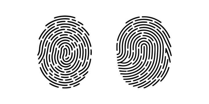 Fingerprint identification and security authentication. Fingerprint isolated on transparent background.