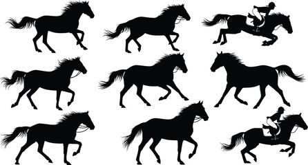 Silhouette collection of galloping horses and equestrian riders showing dynamic motion, powerful animal movement, horse running poses and jumping action for design and illustration projects