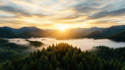 Glowing sunrise mountain ridge warm mist forest valley serene morning