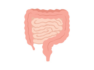 Human Intestines Smooth Muscle