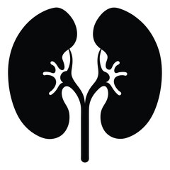 Human kidneys represented in black and white create a symbolic healthcare image