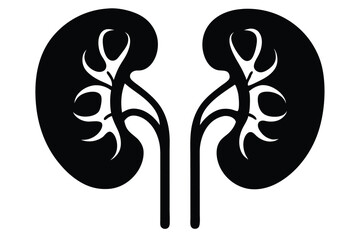 Simplified black and white kidney illustration accurately shows anatomy with clean and precise detail