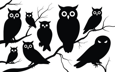 Collection of various owl silhouettes perched on tree branches; nocturnal bird vector set for logo or design.