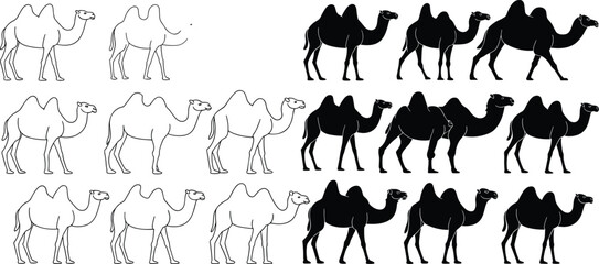 Collection of various camel silhouettes and outline drawings, representing desert animals, travel, and caravan life.