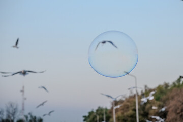 Floating bubble balloons and birds