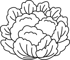 black and white illustration of a cauliflower