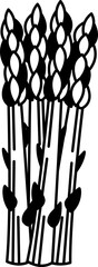 black and white single illustration of an asparagus