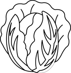black and white illustration of a cabbage