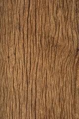 Close up of Old wood surface texture for background